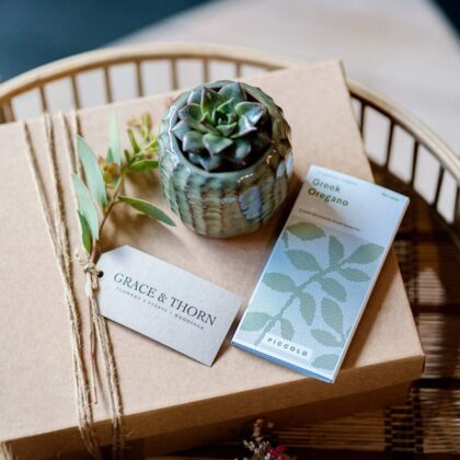 الصندوق الأخضر